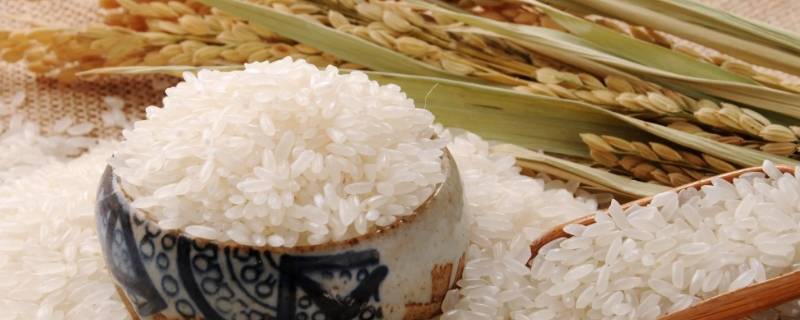 一个人吃十斤大米能吃多少顿